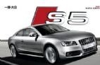2010款奥迪S5 coupe