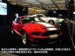 CASװҰGT500 Shelby