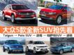 POLO SUV/һ; 5ȫSUVȿ