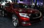 DS Wild Rubis