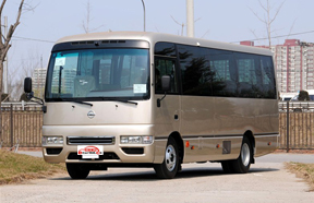 2013VIP 12