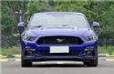 2015Ұ5.0L GT˶