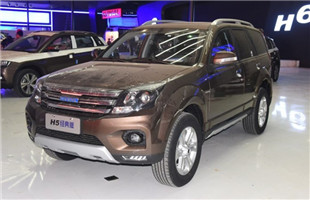 2016H5 2.0Tֶ;
