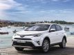 RAV4// ³