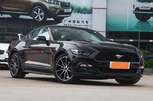 2016Ұ5.0LԶGTܰ