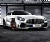 这就是比梅赛德斯AMG GT R还强的版本？
