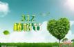 312ֲ  ˳ҫﴴ̵س