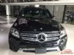 2017GLS450P01