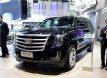 ׵ESCALADE ESV 148.8