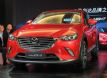 СSUV ԴCX-313Ԫ