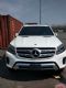 2017GLS450SUVŻּ۴
