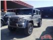 2017G500± Żݲ