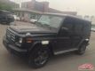 2017G550ӰԽҰֳ 