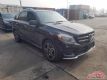 2017GLE43Ӱñ۴