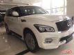2017ӢQX80 ȫѡԽҰͻ