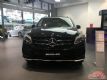 2017GLE43AMGӹ 