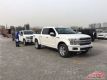 18F150ɫȫ Żݴ