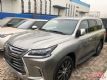 18׿˹LX570 ж˶