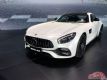 AMG GT Cйر泵 197.80