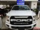 福特F150勇猛者 七座商务越野SUV 