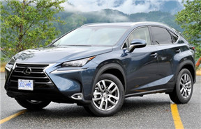 ׿˹NX 2018 NX 300h F SPORT