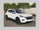 紧凑型纯电动SUV 红旗E-HS3申报信息曝光
