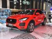 SUV ݱE-PACE8