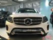 18ӹ汼GLS450ʵϳ˾ԽҰ