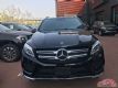 18GLE400䷶ 춼ԽҰ