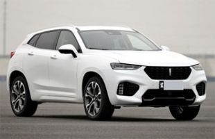 WEY VV7 2019  2.0T 