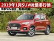 20191SUVа ϵSUV