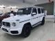 2019款全球限量版奔驰G63 Edition1版 
