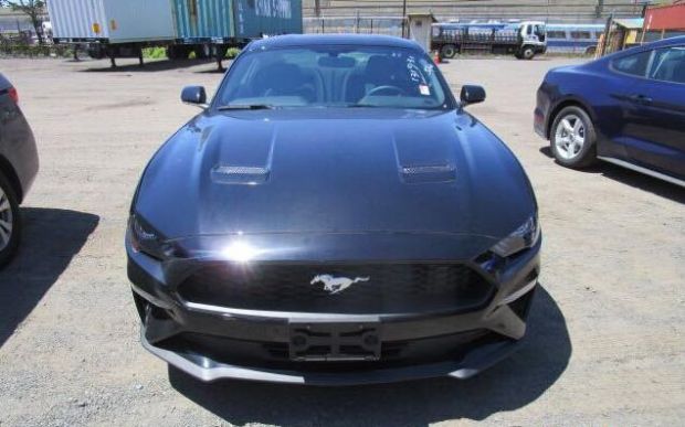 Mustang野马 外观图