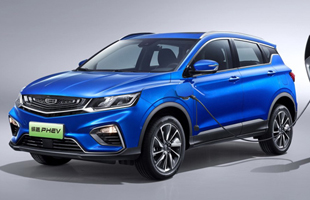 ԽPHEV 2019 260T ˫ 