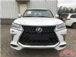 2019ȫ׿˹LX570ֳŻ