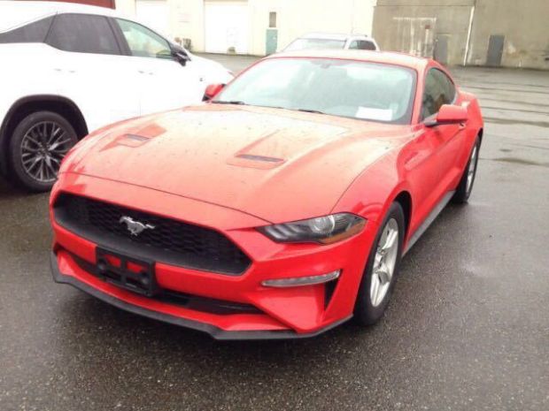 Mustang野马 外观图