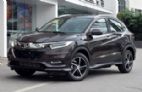 缤智 2019款 220TURBO CVT 精英版 国V