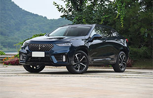 WEY VV7 GT 2020 2.0T 