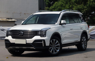 GS8 2020 390T   7