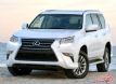20׿˹GX460ۺԽҰĴ