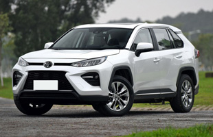  2020 ˫ 2.5L E-CVT  Ƽ