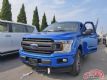 19F150-XLTǿȫԽҰƤ