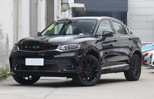 Խ 2020 ܰ 260T ˫  