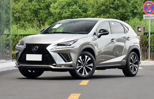 ׿˹NX 2020 300h  F SPORT VI