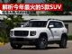 2020年最值得关注的五款SUV RAV4荣放/哈弗大狗等