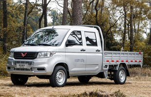 20 1.5L ֶ  VI