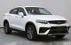 或将替代1.5T 星越2.0T低功率版申报图曝光