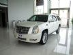 Ҵ ׵ESCALADEٻ2980