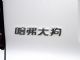 汽车名称，该不该由网友投票来取？