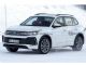 或命名为“ID.Tiguan”，疑似大众途观纯电动版路试谍照曝光